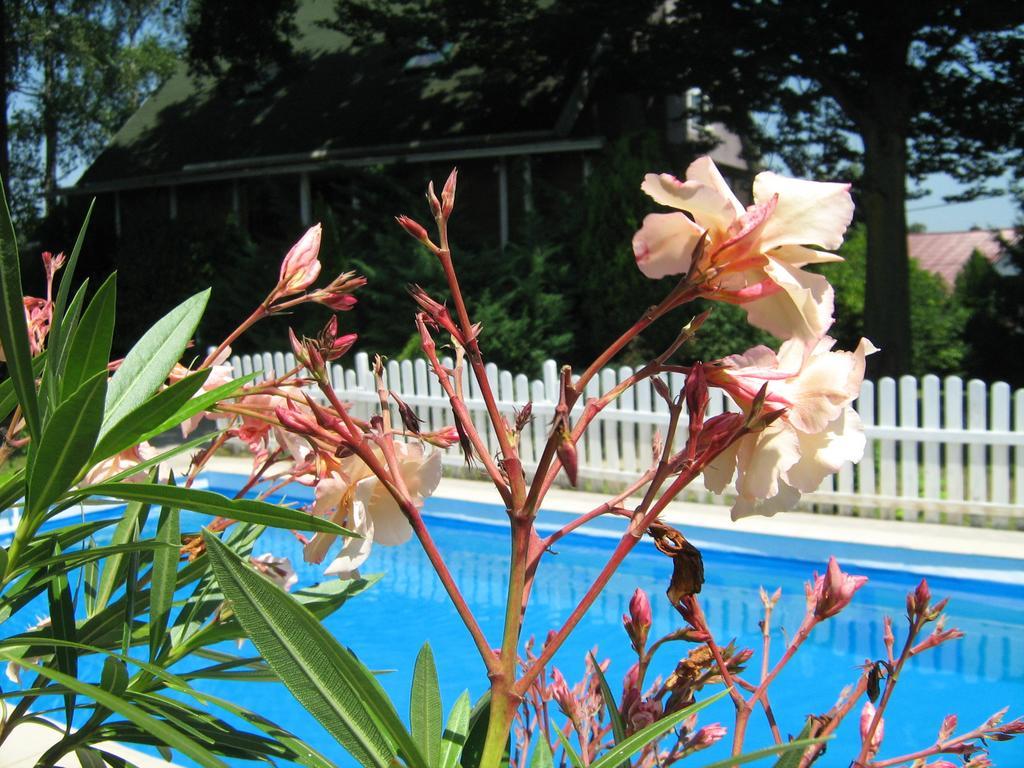 Guest House Westwood Kraljevec Kupinecki 客房 照片